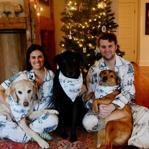 Katie Kime Holiday Toile Pet Bandana